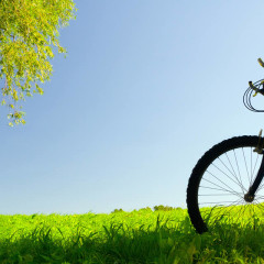 Minha Querida Bicicleta